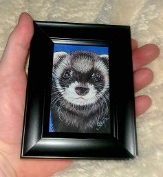 Ferrets; Framed ACEO Paintings - Dark Nose, Black Frame; Framed ACEO; Stef