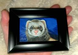 Ferrets; Framed ACEO Paintings - Pink Nose, Black Frame; Framed ACEO; Stef